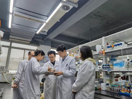 江南大學(xué)食品學(xué)院深化援疆合作，助力新疆食品科技產(chǎn)業(yè)升級(jí)